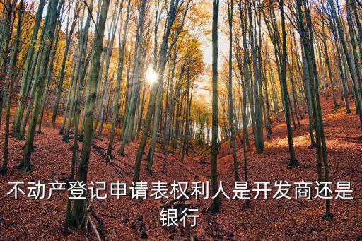不動產(chǎn)登記申請表權(quán)利人是開發(fā)商還是銀行