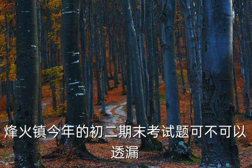 烽火鎮(zhèn)今年的初二期末考試題可不可以透漏