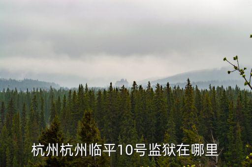 臨平地圖，哪里有臨平地圖買啊
