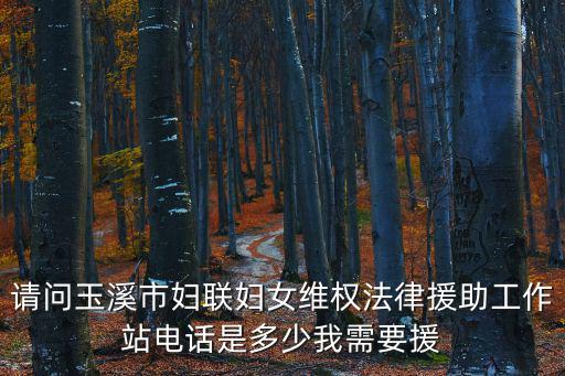 請問玉溪市婦聯(lián)婦女維權法律援助工作站電話是多少我需要援