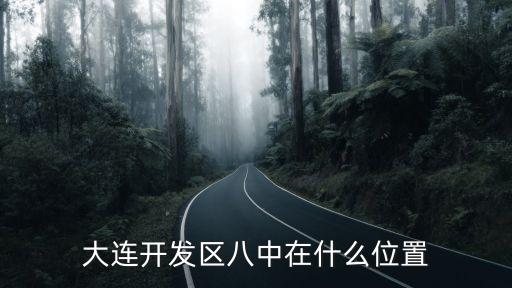 大連開發區八中在什么位置
