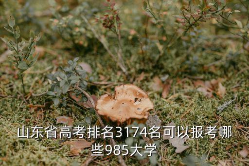 山東高考排名，山東省內的高校排名情況