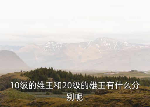 10級的雄王和20級的雄王有什么分別呢