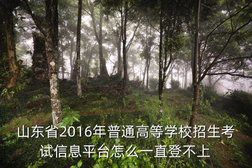 山東省普通高等學校招生考試信息平臺，山東高考招生信息網