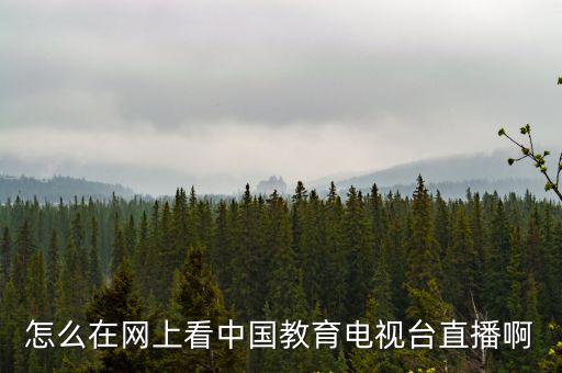 中國教育電視臺直播，怎么在網上看中國教育電視臺直播啊
