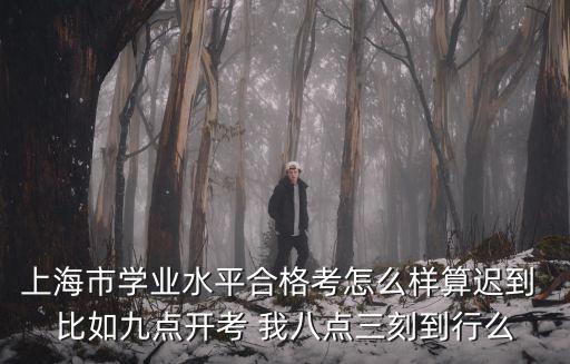 合格考，新高考將設合格性考試到底如何考