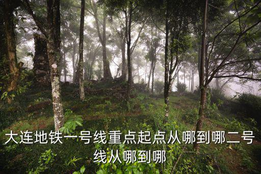大連地鐵1號線，大連地鐵1號線西安路幾號口出去是解放廣場