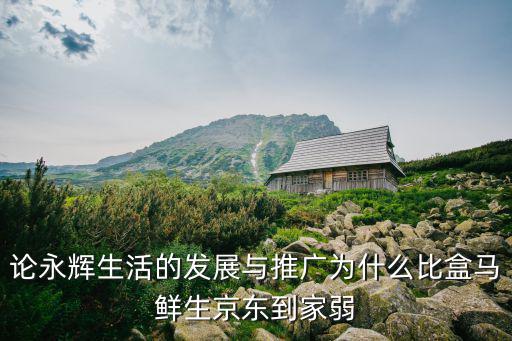 論永輝生活的發(fā)展與推廣為什么比盒馬鮮生京東到家弱