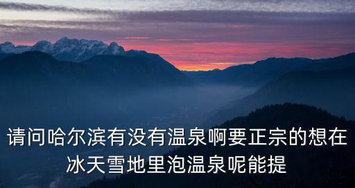 請問哈爾濱有沒有溫泉啊要正宗的想在冰天雪地里泡溫泉呢能提