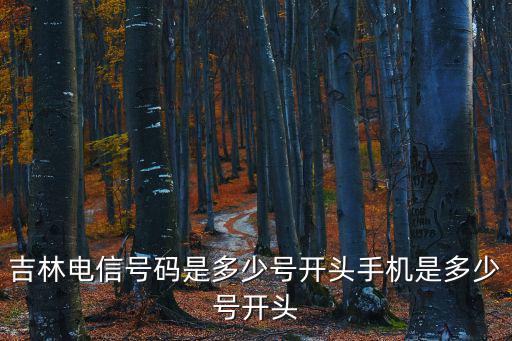 吉林電信號碼是多少號開頭手機是多少號開頭