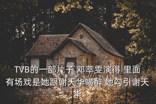 TVB的一部片子 鄧萃雯演得 里面有場戲是她跟謝天華喝醉 她勾引謝天華