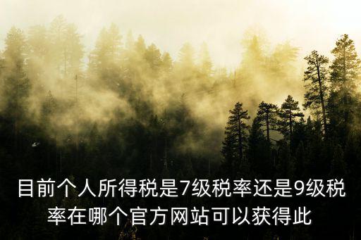 目前個人所得稅是7級稅率還是9級稅率在哪個官方網站可以獲得此