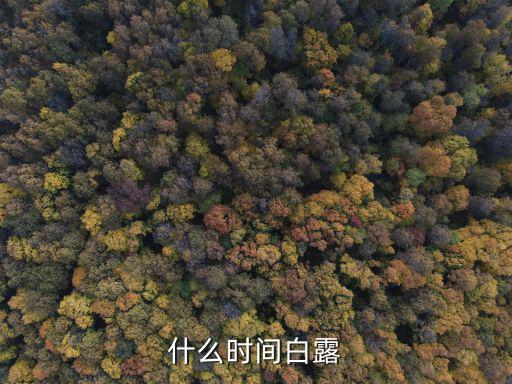 白露是幾月幾日，什么時間白露