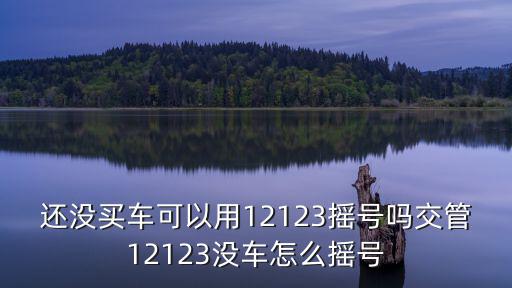 還沒買車可以用12123搖號嗎交管12123沒車怎么搖號
