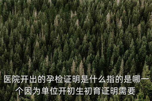 孕檢證明，醫院開出的孕檢證明是什么指的是哪一個因為單位開初生初育證明需要