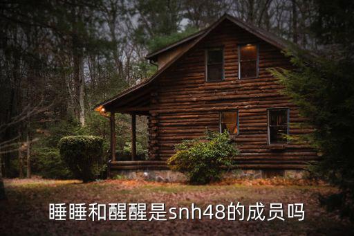 王露皎，睡睡和醒醒是snh48的成員嗎