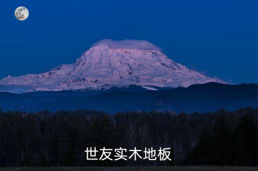 世友實木地板