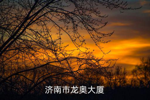 濟(jì)南市龍奧大廈