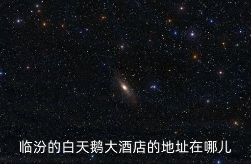 臨汾天鵝大酒店，臨汾住宿哪家比較干凈