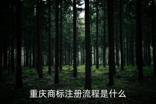 重慶商標注冊流程是什么
