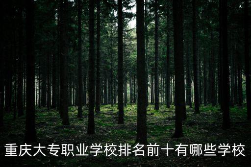 重慶職業(yè)學(xué)校，重慶職業(yè)學(xué)校