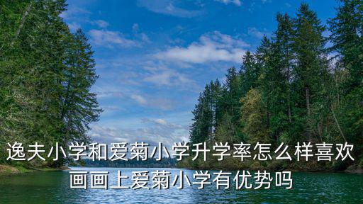 上海愛菊小學，外地轉學到上海就讀愛菊小學需要入學考試嗎