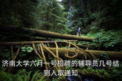 濟(jì)南大學(xué)招聘，濟(jì)南大學(xué)公開招聘考試網(wǎng)在哪里可以找到
