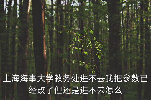 上海海事大學教務處進不去我把參數已經改了但還是進不去怎么