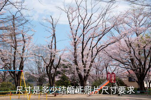 結婚證照片幾寸，結婚證照片的尺寸是多少
