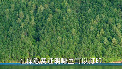 社保繳費(fèi)證明打印，社保證明是怎么打印的