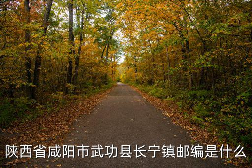陜西省咸陽市武功縣長(zhǎng)寧鎮(zhèn)郵編是什么