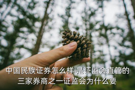 中國民族證券怎么樣 是證監(jiān)會直管的三家券商之一證監(jiān)會為什么要