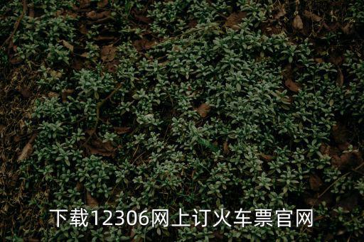 下載12306網上訂火車票官網