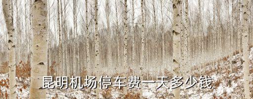 機場停車費，機場停車費用貴嗎停3天要多少錢