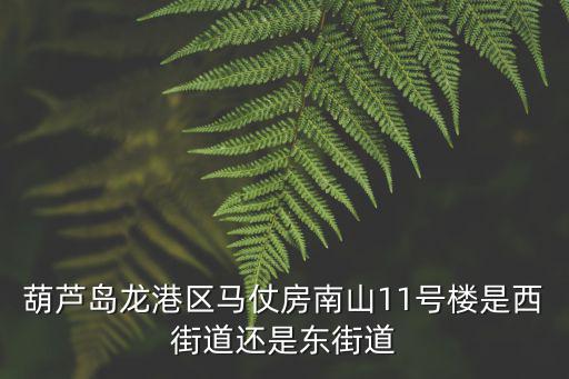 西街道，葫蘆島龍港區馬仗房南山11號樓是西街道還是東街道