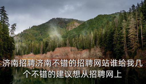 濟南招聘濟南不錯的招聘網站誰給我幾個不錯的建議想從招聘網上
