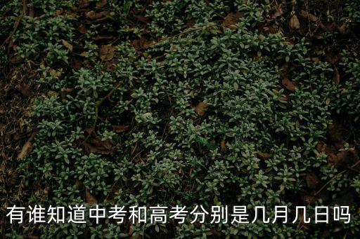 有誰知道中考和高考分別是幾月幾日嗎
