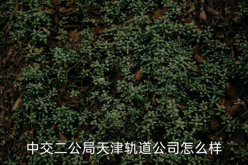 天津軌道交通集團(tuán)，天津地鐵是賣私企了嗎