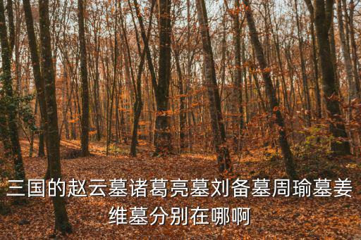 三國的趙云墓諸葛亮墓劉備墓周瑜墓姜維墓分別在哪啊
