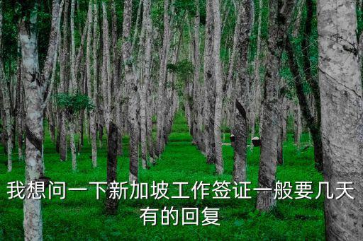 新加坡工作簽證，我想問一下新加坡工作簽證一般要幾天有的回復(fù)