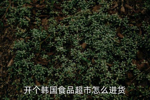 開個韓國食品超市怎么進貨