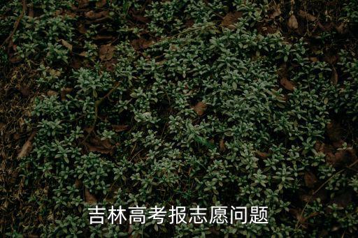 吉林高考報(bào)志愿問題