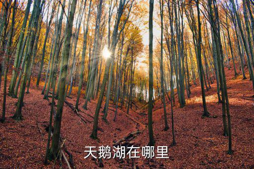 天鵝湖在哪里