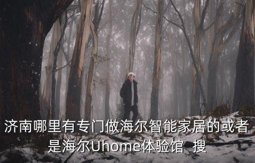 濟南哪里有專門做海爾智能家居的或者是海爾Uhome體驗館  搜