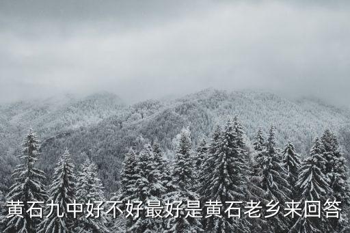 黃石九中好不好最好是黃石老鄉來回答
