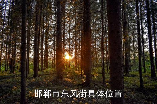 邯鄲市東風街具體位置