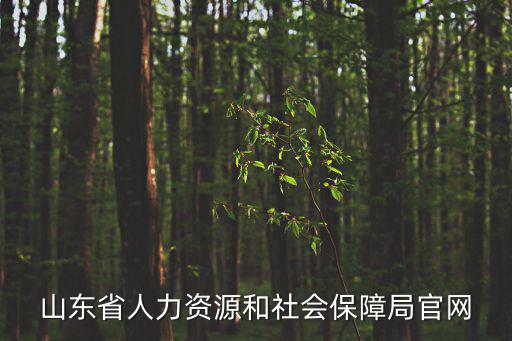 山東省人力資源和社會(huì)保障局官網(wǎng)