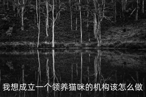 我想成立一個領養貓咪的機構該怎么做