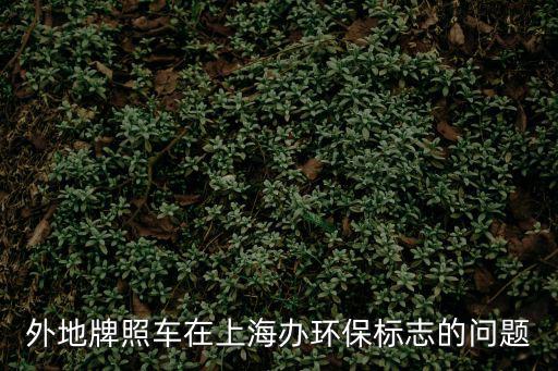 上海辦，上海護(hù)照在哪里辦