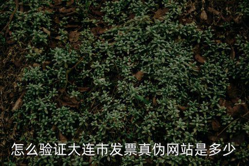 怎么驗證大連市發票真偽網站是多少